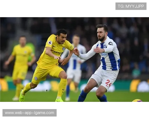 布莱顿与切尔西精彩对决直播全程回顾与分析